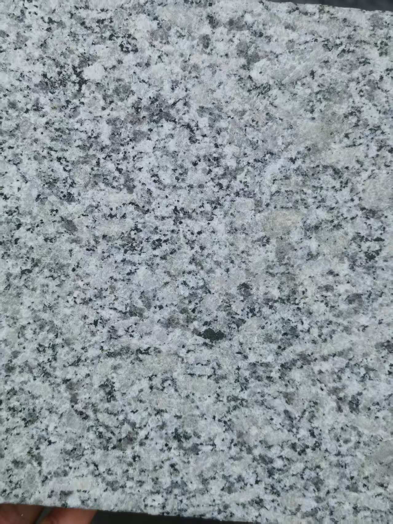 鹤岗 芙蓉白火烧面