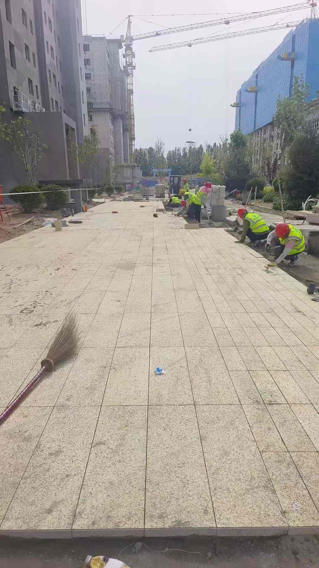 鹤岗黄金麻荔枝面地铺案例