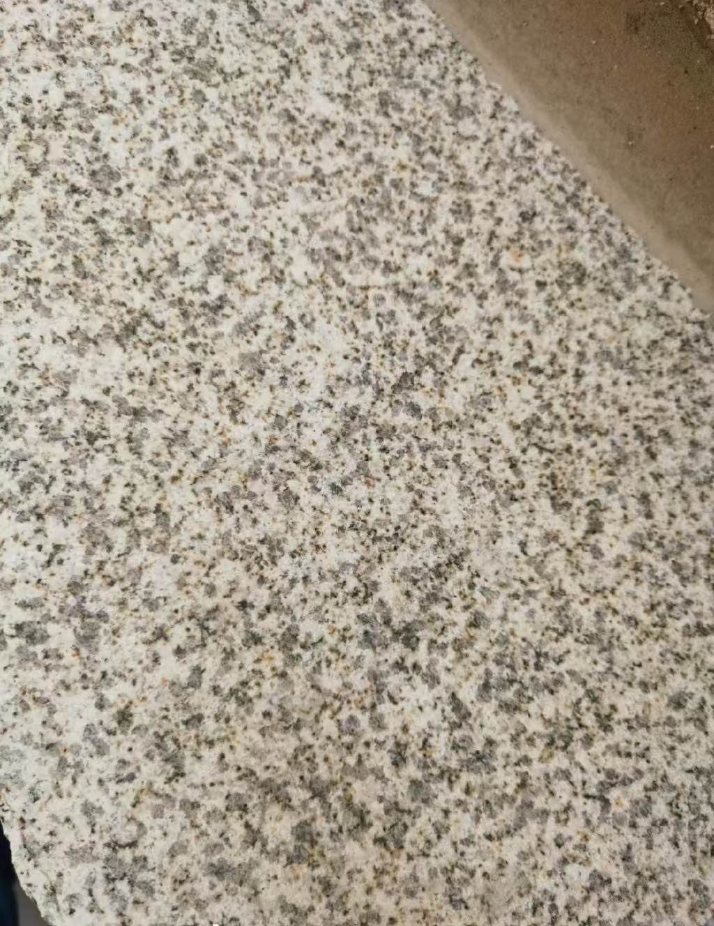 鹤岗 黄金麻中黄光面